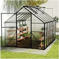 FIVMEN Gewächshaus ALU mit Fundament rostfrei BxTxH: 380 × 250 × 205 cm, BxTxH: 380 x 250 x 205 cm, Premium Gartengewächshäuser Aluminium mit 6 cm Fundament
