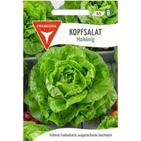FRANKONIA Gemüsesamen Kopfsalat, Maikönig - Saatgut Salat-Samen Samen, Lactuca sativa