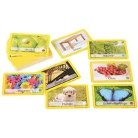 EDUPLAY Lernspielzeug Team-Bildungs-Karten (60-St)