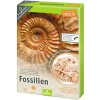 Moses. Verlag Experimentierkasten Fossilien-Ausgrabungs-Set von moses. mit Werkzeug, Lupe & Booklet, (Fünf-tlg)