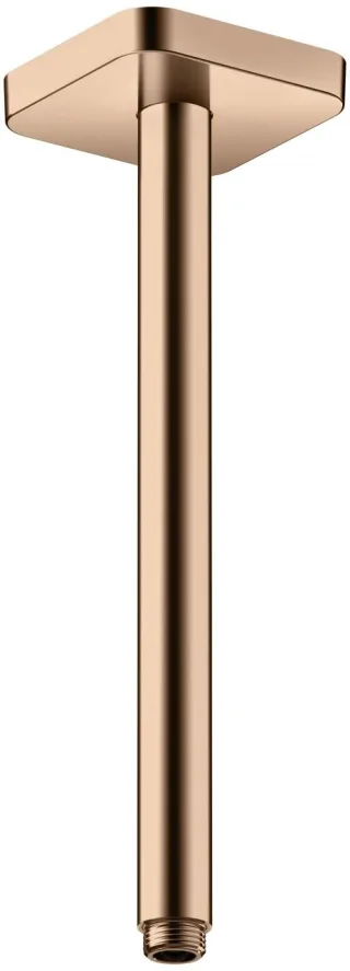 Rot