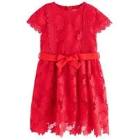 Next Partykleid Spitzenkleid für besondere Anlässe (1-tlg)