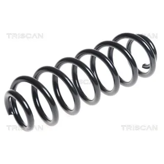 Triscan Feder hinten VW Cc Passat