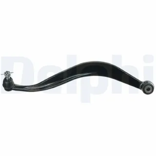 Delphi Querlenker hinten links Hyundai Santa Fe 1 TC3580