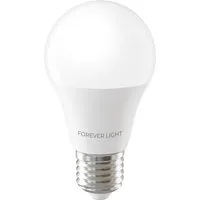 Forever Light LED-Leuchtmittel Lampe E27 A55 4 W 480 lm Kaltweiß 6000 K Energieklasse E, 1 St., Kaltweiß, A55 Form kaltweiß