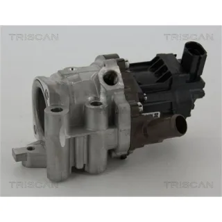 Triscan AGR-Ventil Iveco Daily 4 5 6