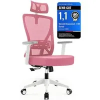 Durrafy Bürostuhl 200kg Ergonomischer Bürostuhl-Verstellbare Lordosenstütze (Verstellbare Lendenwirbelstutze + Kopfstutze + hohenverstelbare Armlehnen),bis zu 130° neigbar, atmungsaktives Netzgewebe, Drehstuhl),bis zu 130° neigbar, atmungsaktives Net