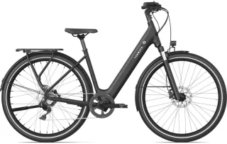 E-Bike  - Tenways CGO800 Plus schwarz   - Einheitsgröße