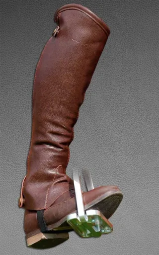 Chaps DY Classic