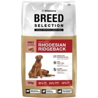 Wildsterne Breed Rhodesian Ridgeback