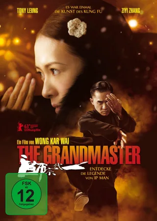 The Grandmaster [DVD] [2013]