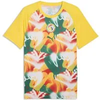 PUMA Trainingsshirt Senegal Aufwärmtrikot Herren