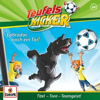 066/Labradornoch ein Tor!