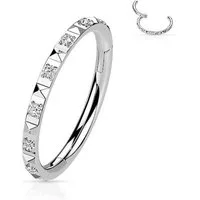 Taffstyle Nasenpiercing Septum Piercing Ring Segmentring Clicker Scharnier Kristalle Pave, Nasenpiercing Nasenring Ohrpiercing Ohr Nase Tragus Helix Brust Intim