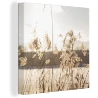 OneMillionCanvasses® Leinwandbild Wasser - Pampasgras - Pflanzen, Fotodruck (1 St), Wandbild, Deko Schlafzimmer Wohnzimmer Flur 20x20 cm