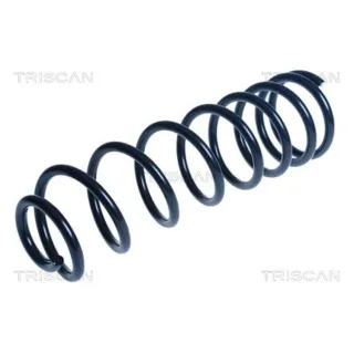 Triscan Feder hinten Ford Tourneo Transit 875016152