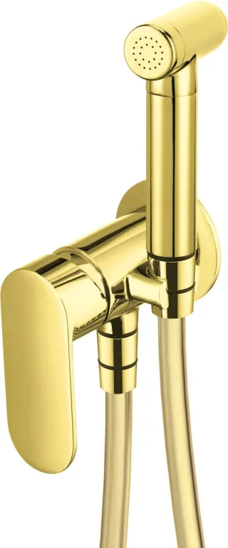 Neuesbad Serie 100 Bidetarmatur, Unterputz, mit Bidet-Handbrause, gold NB1DEBGA_Z34M1