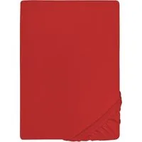 Biberna Spannbettlaken THEA Baumwoll-Jersey mit Elasthan, 160 g/m², Jersey-Elasthan, Gummizug: rundum, (1 Stück), Bettlaken für Matratzen bis 25 cm Höhe, pflegeleicht, bügelfrei