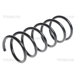 Triscan Feder hinten Ford Ka 1,3 875016091