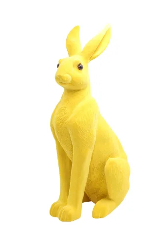 50 cm