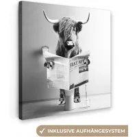 OneMillionCanvasses® Leinwandbild Schottischer Highlander - WC - Zeitung - Lustig - Tier, Fotodruck (1 St), Wandbild, Deko Schlafzimmer Wohnzimmer Flur 20x20 cm