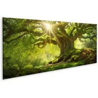 islandburner Leinwandbild Sonnenstrahlen auf altem Baum Bilder