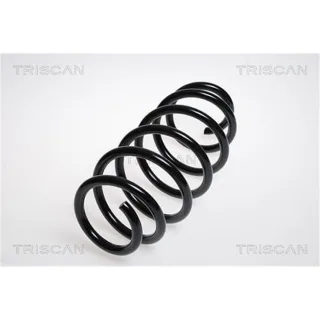 Triscan Feder vorne VW Caddy 875029171