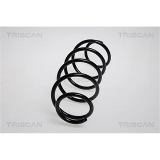 Triscan Feder vorne Peugeot 1007