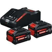 EXPERT Starter-Set 18V, 2x EXBA 18V-80 + Ladegerät EXAL18V-160 schwarz, 2x Li-Ionen Akku 8Ah, AMPShare Alliance