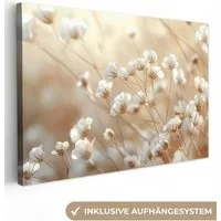 OneMillionCanvasses® Leinwandbild Wild - Blumen - Weiß, Fotodruck (1 St), Leinwand Bilder Klein, Wand Dekoration Aesthetic 30x20 cm