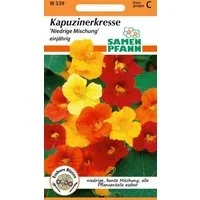 SAMEN PFANN Kräutersamen Kapuzinerkresse, niedrige Mischung - Kapuzinerkresse-Samen Samen, Tropaeolum majus