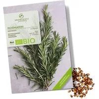 Growgreens Kräutersamen BIO Rosmarin Samen - Heilkräuter Saatgut aus bio. Anbau (40 Korn)