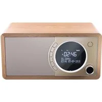 Sharp DR-450 Digitalradio (DAB) (Digitalradio (DAB), Automatische Senderverfolgung, FM-Tuner mit RDS, 6 W)