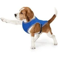 Bestlivings Kühlweste Hund - Cooling Dog vers. Größen, Atmungsaktiv - Reflektierend Kühljacke Sicherheitsweste Kühlungseffekt