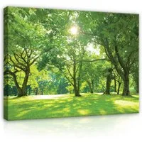 Wallarena Leinwandbild Wald Park - Grün - Modern - Schlafzimmer, Bäume, 80x60x2cm