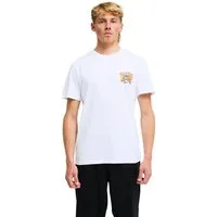 Billabong T-Shirt Straya