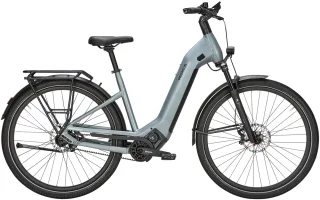 E-Bike  - Pegasus Estremo Evo 12 Lite   - 45 cm