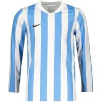 Nike Fußballtrikot Nike Performance Teamsport