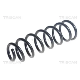 Triscan Feder hinten Dacia Sandero