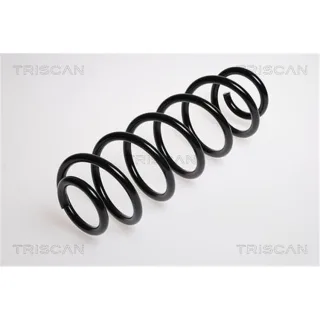 Triscan Feder hinten Seat Toledo Skoda Rapid