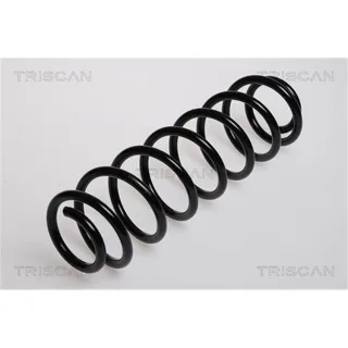 Triscan Feder hinten Skoda Fabia 875029122