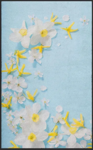 Fussmatte 7273 | Größe: 60 cm x 90 cm