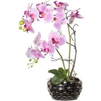 Kunstorchidee Kunstpflanze Orchidee Orchidee, Creativ green, Höhe 55.00 cm, im Keramiktopf