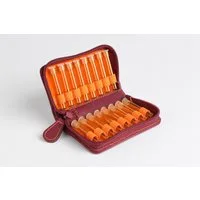 omeo Aufbewahrungstasche Taschenapotheke Globuli Kunstleder Pflaume für 16-240 Gläser