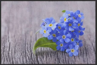 Fussmatte Veilchen 4606 | Größe: 60 cm x 45 cm