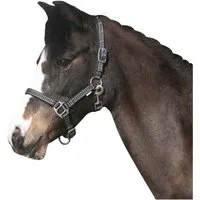 Horse Guard Halfter RIO Halfter, grau/schwarz, Nylon, verstellbar