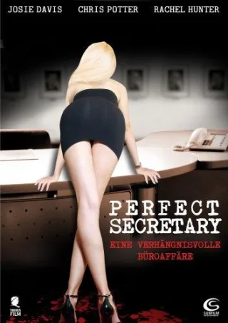 Perfect Secretary [DVD] [2008]