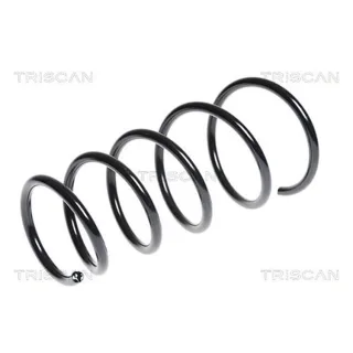 Triscan Feder vorne Opel Agila Suzuki Splash 875024146