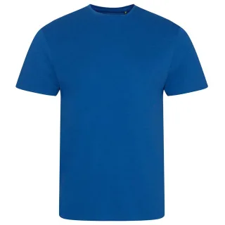 Ecologie - "Cascades" T-Shirt für Herren/Damen Unisex (Königsblau)