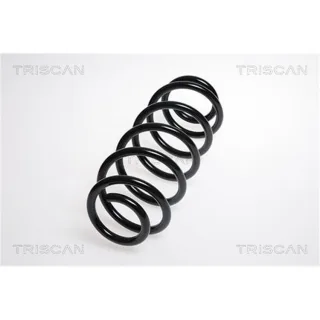 Triscan Feder hinten Ford Fusion Suzuki Swift